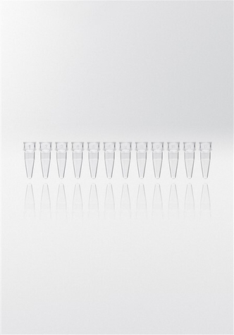 Nerbe Plus PCR microcentrifuge tube PP, 0,2ml, without cap, 12-strips, transparent (800 pcs)