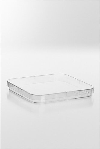 Petri dish PS, Ø120x120x16 mm, with 4 vents, transparent, sterile (252 pcs)