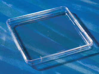 Corning® 245 mm Square Low Profile BioAssay Dish without Handles, not TC-treated