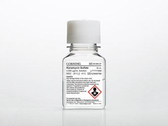 Corning® 50 mL Kanamycin Sulfate, Liquid