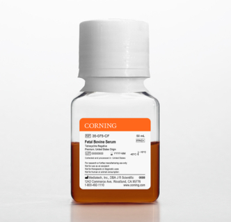 Corning® Fetal Bovine Serum, 50 mL, Premium, United States Origin (Tetracycline Negative)