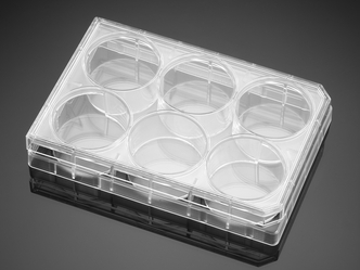 Falcon® 6-well Clear Flat Bottom Not Treated Cell Multiwell Culture Plate, with Lid, Sterile, 1/Pack,50/Case