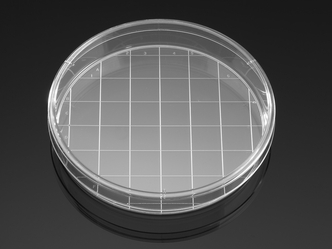 Falcon® 150 mm TC-treated Cell Culture Dish with 20 mm Grid, 10/Pack, 100/Case, Sterile