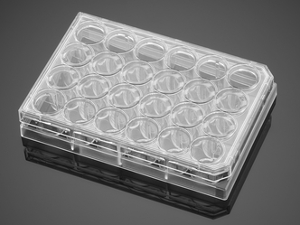 Falcon® 24-well Clear Flat Bottom TC-treated Multiwell Cell Culture Plate, with Lid, Sterile, 50/Case