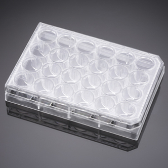 Corning® Primaria™ 24-well Flat Bottom Surface Modified Multiwell Cell Culture Plate, with Lid, Ind. Wrapped, Sterile, 50/Cs