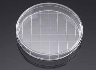 Corning® BioCoat™ Poly-D-Lysine 150 mm TC-treated Gridded Culture Dishes, 5/Pack, 5/Case