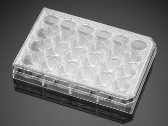 Corning® BioCoat™ Collagen I 24-well Clear Flat Bottom TC-treated Multiwell Plate, with Lid, 5/Pack, 50/Case