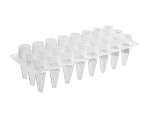 Axygen® 24-well Polypropylene PCR Microplate, Clear, Nonsterile