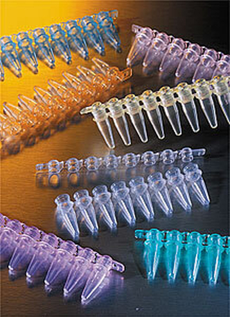 Corning® Thermowell™ GOLD 0.2 mL Polypropylene PCR Tubes, 8-well Strips, Assorted Colors