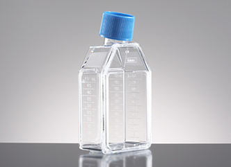 Corning® BioCoat™ Collagen I 25cm² Rectangular Canted Neck Cell Culture Flask with Vented Cap