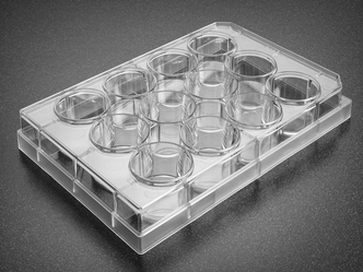 Corning® Primaria™ 6-well Cell Clear Flat Bottom Surface-Modified Multiwell Culture Plate, with Lid, Sterile,50/Case