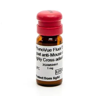 PhenoVue™ Fluor 594 - Goat Anti-Mouse Antibody Highly Cross-Adsorbed