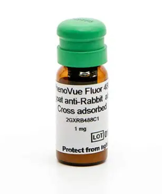 PhenoVue™ Fluor 488 - Goat Anti-Rabbit Antibody Cross-Adsorbed