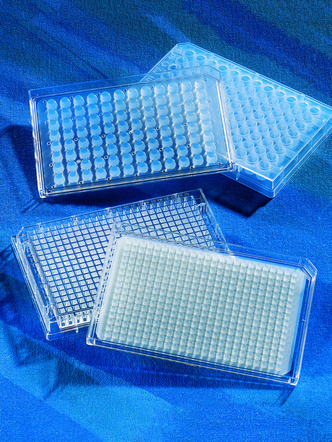 Corning® 384-well Robolid with Corner Notch, Nonsterile