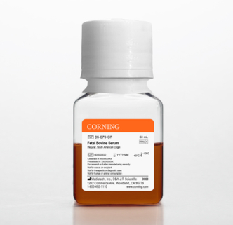 Corning® Fetal Bovine Serum, 50 mL, Regular, South American Origin