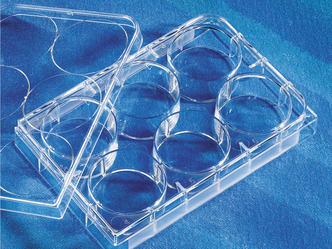 Costar® 6-well Clear Flat Bottom Ultra-Low Attachment Multiple Well Plates, Individually Wrapped, Sterile