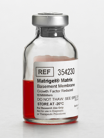 Corning® Matrigel® Growth Factor Reduced (GFR) Basement Membrane Matrix, *LDEV-free, 10 mL