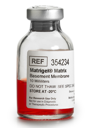 Corning® Matrigel® Basement Membrane Matrix, *LDEV-free, 10 mL