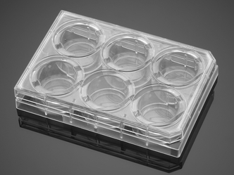 Corning® BioCoat™ Poly-D-Lysine 6-well Clear Flat Bottom TC-treated Multiwell Plate, with Lid, 5/Pack, 50/Case