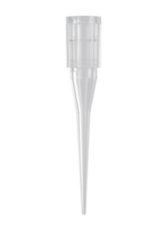 Axygen® Automation Tips for Beckman Coulter® 20 µL, Clear, Non-Filtered, Nonsterile