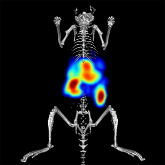 IVISense Toxicology Fluorescent Imaging Panel