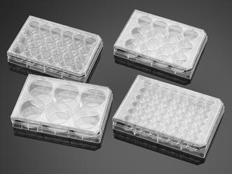 Corning® BioCoat™ Poly-D-Lysine 48-well Clear Flat Bottom TC-treated Multiwell Plate, with Lid, 5/Pack, 50/Case