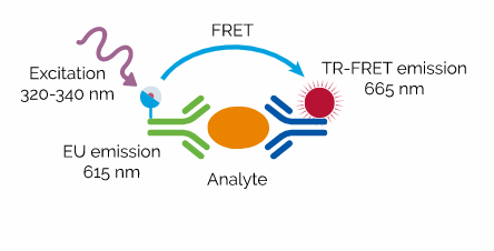 LANCE TR-FRET Assays